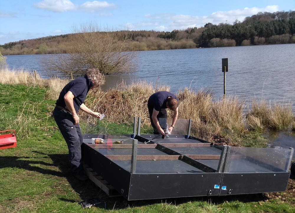 Photo of the building of the tern raft