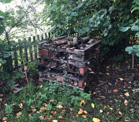 Photo of a nature hotel