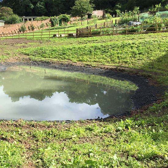 Leasowes walled garden