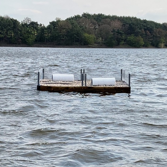 Blithfield tern raft